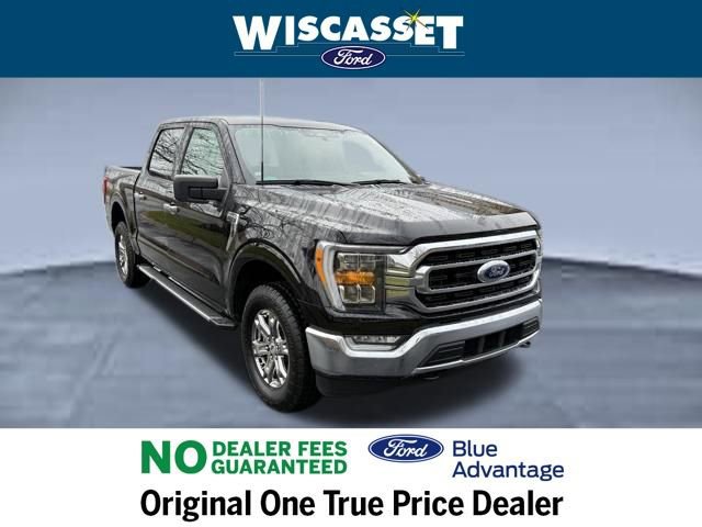 Certified 2022 Ford F150 XLT w/ Equipment Group 302A High image 8