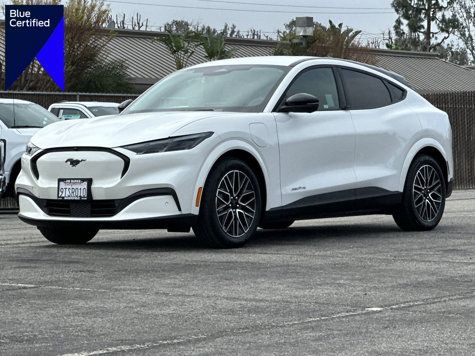 Certified 2025 Ford Mustang Mach-E Premium image 1