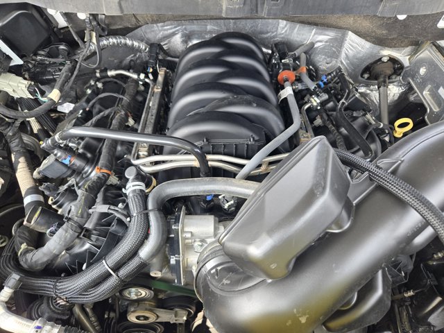 Certified 2024 Ford F150 STX w/ STX Black Appearance Package image 31