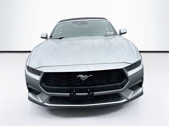 Certified 2025 Ford Mustang Premium RWD image 2