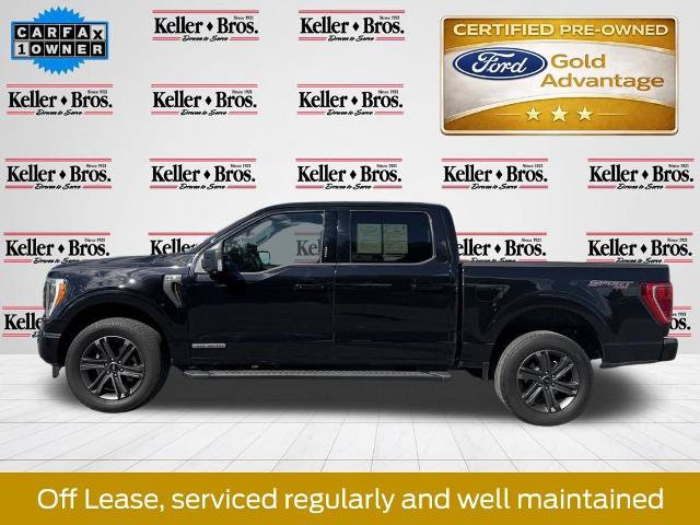 Certified 2023 Ford F150 XLT w/ Equipment Group 302A High AWD/4WD image 5