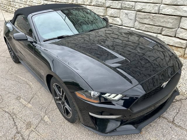 Certified 2023 Ford Mustang Convertible w/ Equipment Group 101A RWD image 7