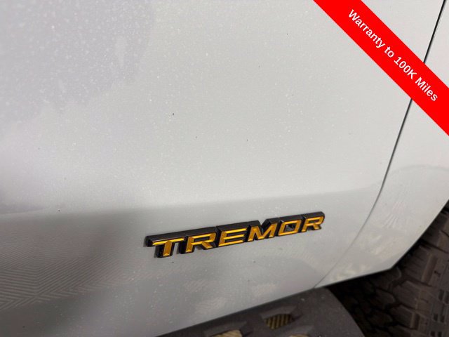 Certified 2025 Ford Expedition Tremor AWD/4WD image 18