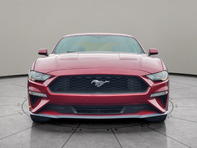 Certified 2019 Ford Mustang Coupe RWD image 15