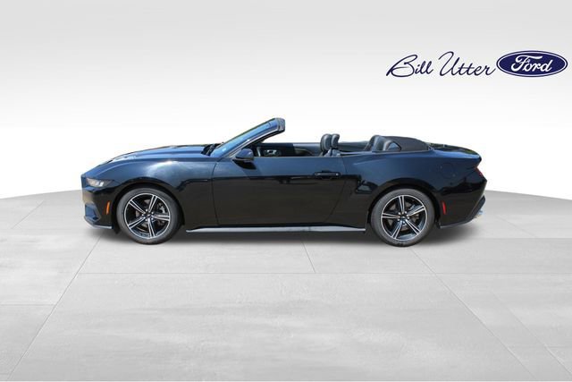 Certified 2024 Ford Mustang EcoBoost image 3