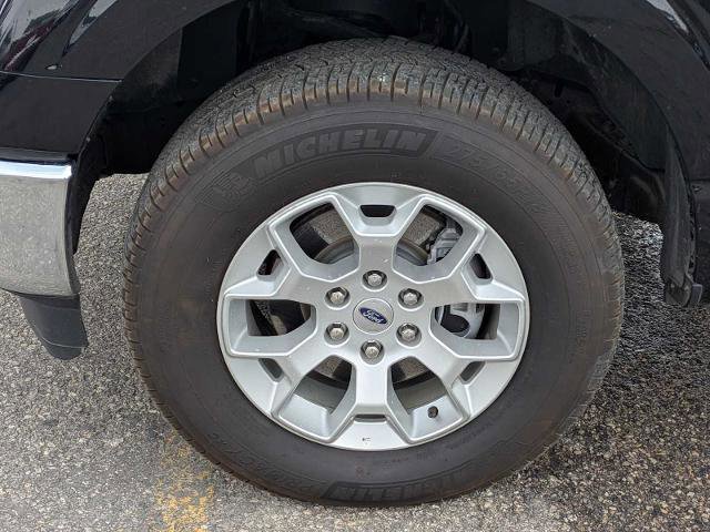 Certified 2023 Ford F150 XLT image 14