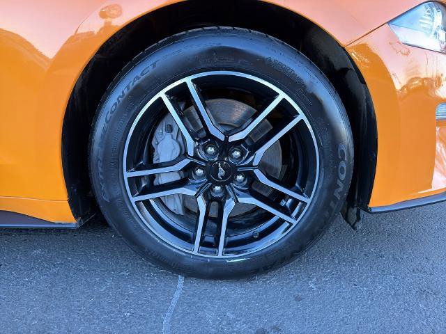 Certified 2019 Ford Mustang GT image 10