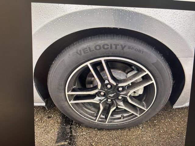 Certified 2021 Ford Mustang EcoBoost w/ Equipment Group 101A image 18