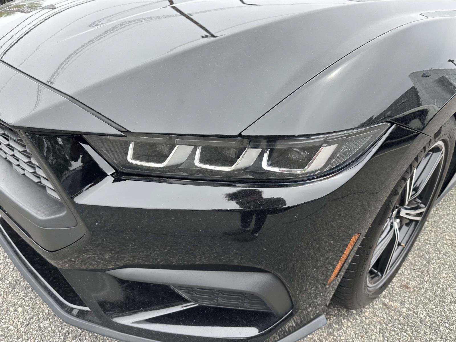 Certified 2024 Ford Mustang Premium RWD image 9