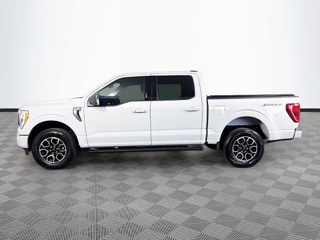 Certified 2023 Ford F150 XLT w/ Equipment Group 302A High AWD/4WD image 4