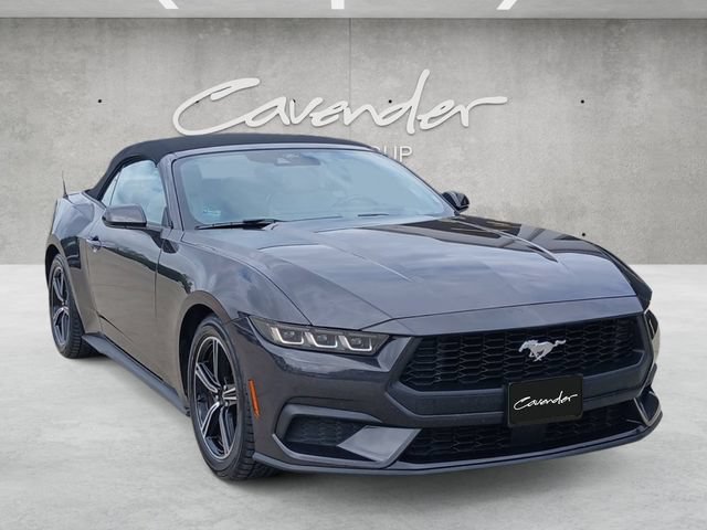 Certified 2024 Ford Mustang Premium RWD image 2