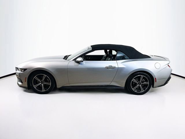 Certified 2024 Ford Mustang Premium image 3