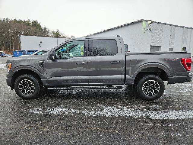 Certified 2023 Ford F150 XLT w/ Equipment Group 302A High image 6