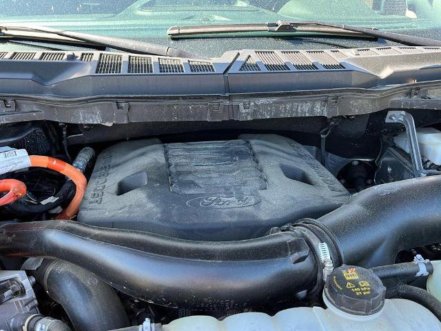 Certified 2021 Ford F150 Platinum w/ Equipment Group 701A High image 20