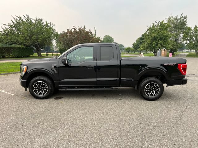 Certified 2023 Ford F150 XLT w/ Equipment Group 302A High AWD/4WD image 6