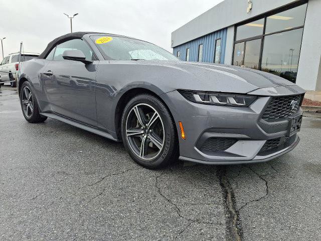 Certified 2024 Ford Mustang Premium image 8