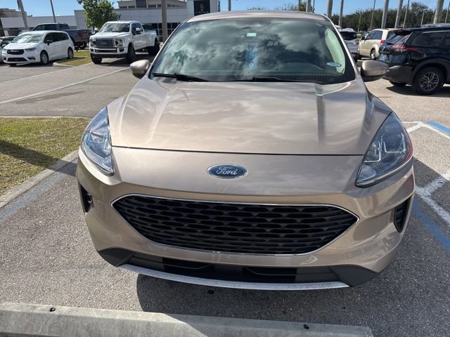 Certified 2020 Ford Escape SE image 4