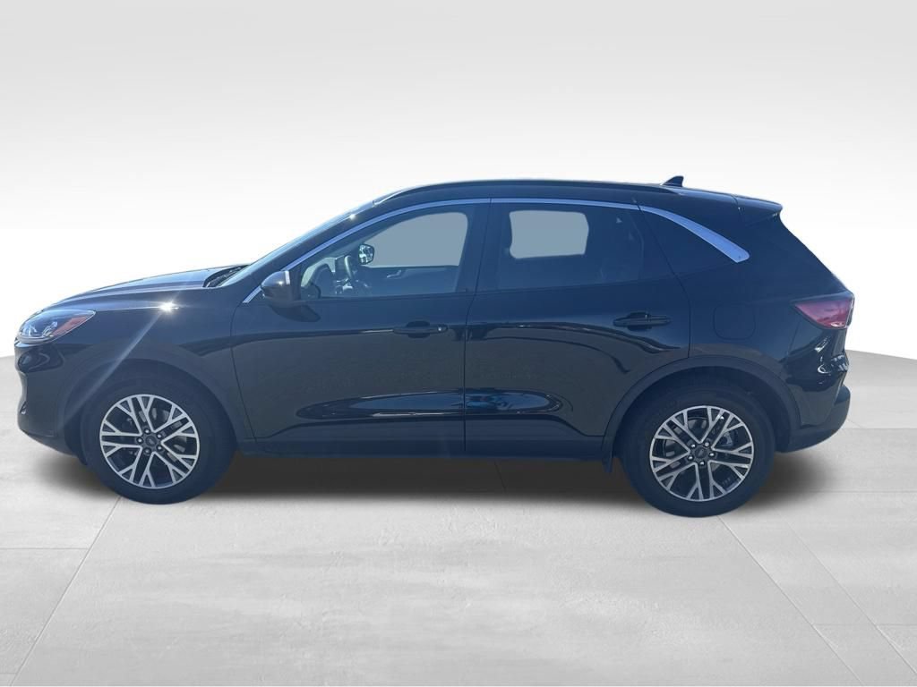 Certified 2022 Ford Escape SEL AWD/4WD image 6