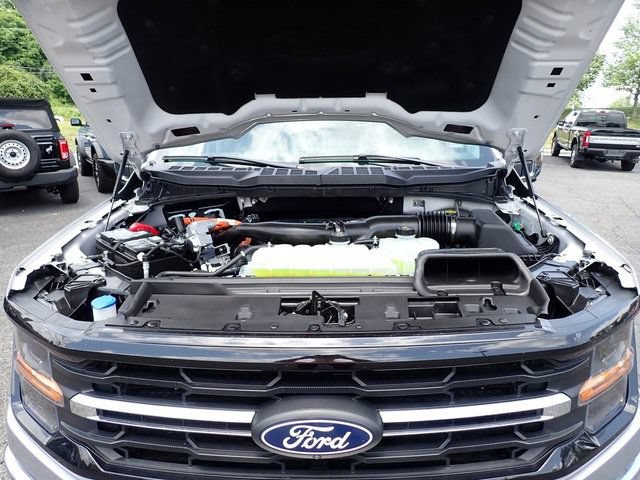 Certified 2025 Ford F150 XLT w/ Equipment Group 302A MID AWD/4WD image 16