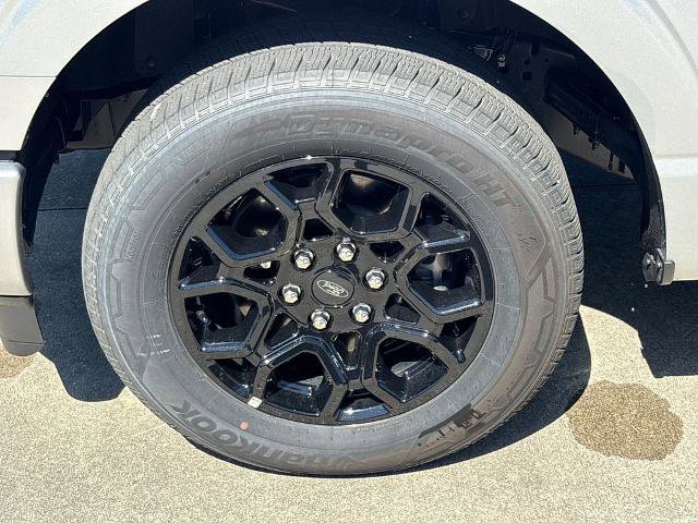 Certified 2025 Ford F150 STX RWD image 11