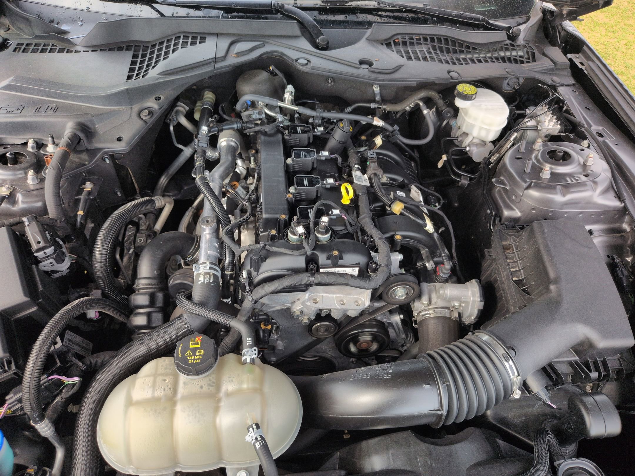 Certified 2023 Ford Mustang Coupe w/ Equipment Group 101A RWD image 35