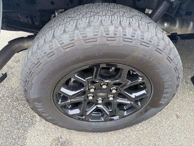 Certified 2025 Ford F150 XLT w/ Equipment Group 301A Standard AWD/4WD image 23