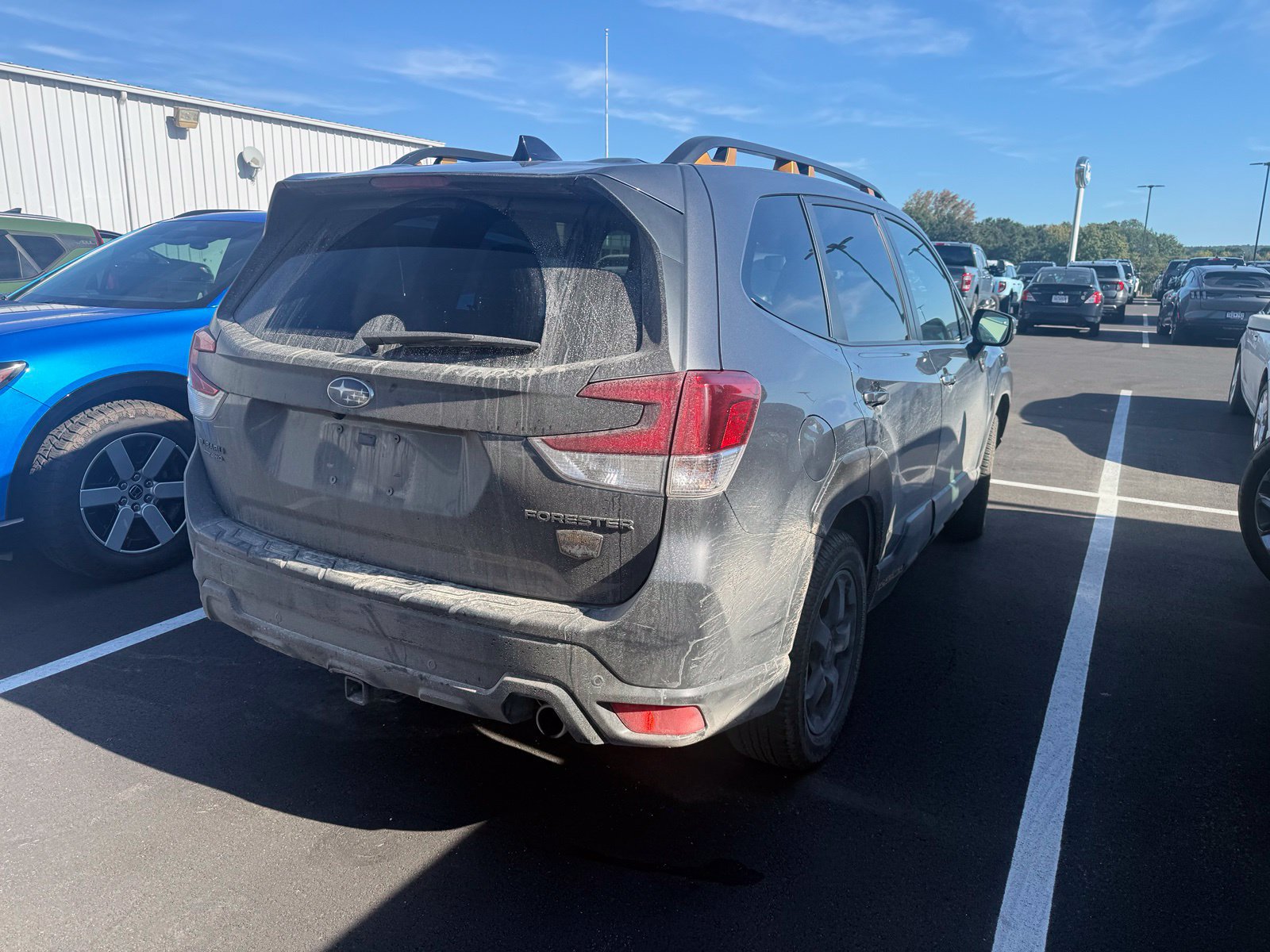 Used 2024 Subaru Forester Wilderness AWD/4WD image 6