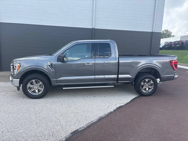 Certified 2023 Ford F150 XLT w/ Equipment Group 302A High AWD/4WD image 1