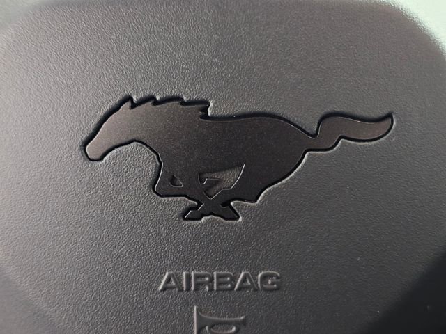 Certified 2024 Ford Mustang Dark Horse w/ Dark Horse Handlin Package RWD image 34