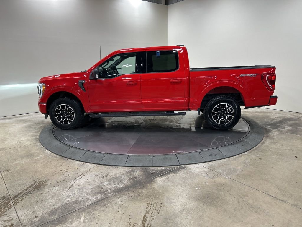 Certified 2023 Ford F150 XLT w/ Equipment Group 302A High image 2