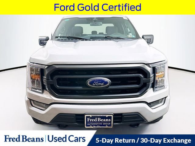Certified 2023 Ford F150 XLT w/ Equipment Group 302A High image 8