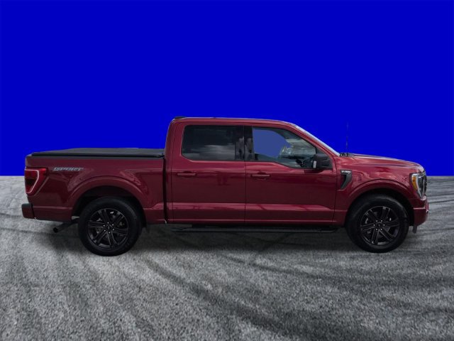 Certified 2021 Ford F150 XLT w/ Equipment Group 302A High RWD image 3
