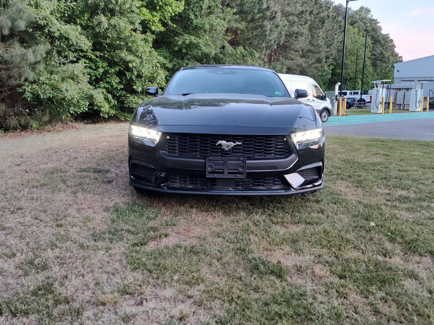 Certified 2024 Ford Mustang Coupe RWD image 8
