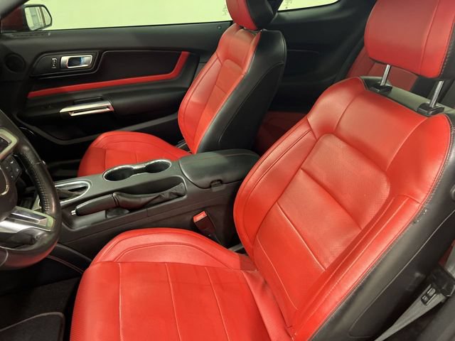 Certified 2019 Ford Mustang GT Premium w/ GT Performance Package RWD image 4