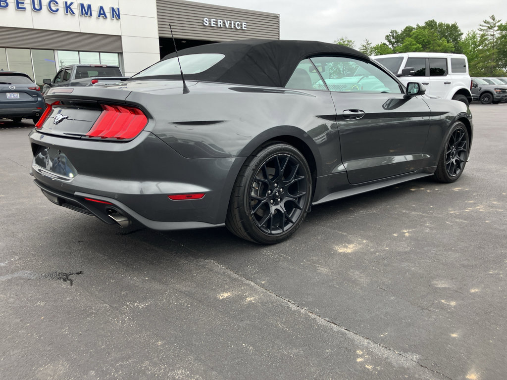 Certified 2018 Ford Mustang Convertible w/ Ecoboost Performance Package RWD image 6