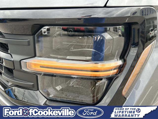 Certified 2025 Ford F150 XLT w/ Equipment Group 302A MID image 10