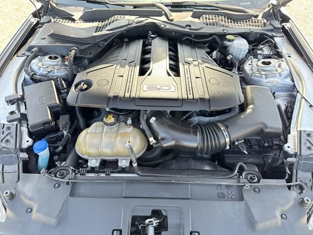 Certified 2021 Ford Mustang GT w/ Equipment Group 301A RWD image 25