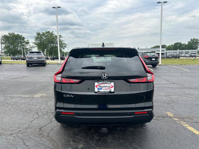 Used 2025 Honda CR-V EX-L image 7