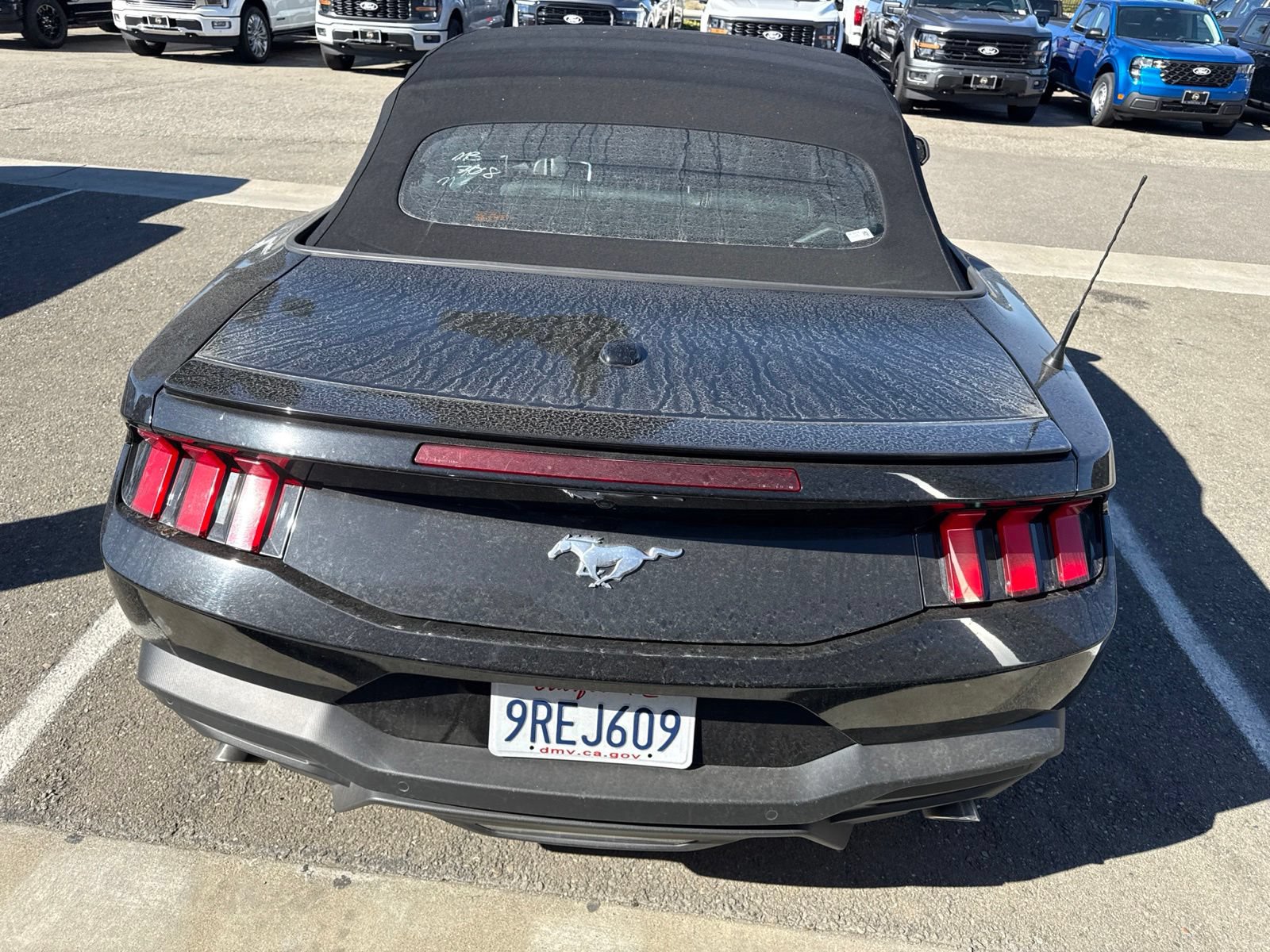 Certified 2025 Ford Mustang Premium RWD image 3