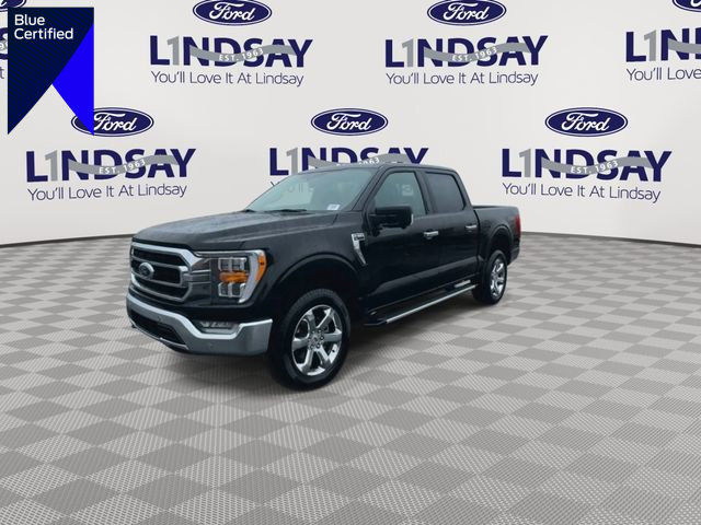 Certified 2022 Ford F150 XLT w/ Equipment Group 302A High image 1