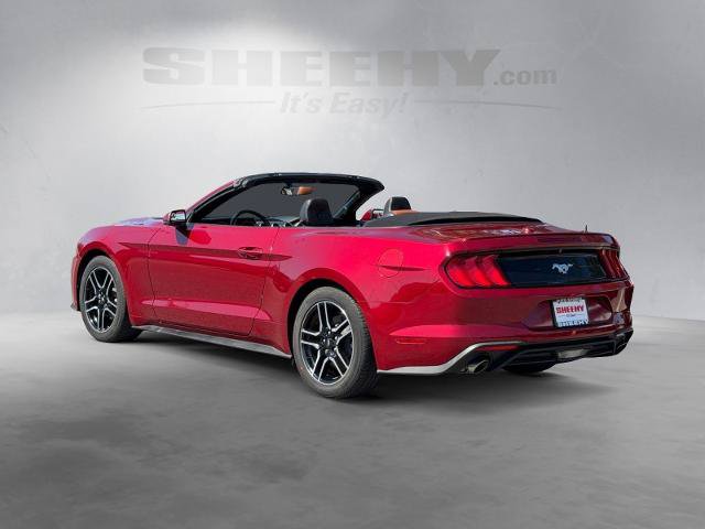 Certified 2019 Ford Mustang Premium RWD image 17