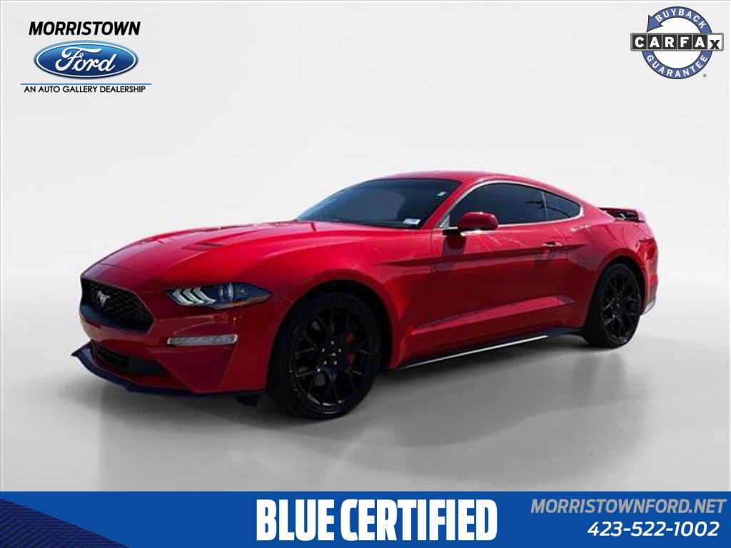 Certified 2019 Ford Mustang Coupe w/ Ecoboost Performance Package image 7