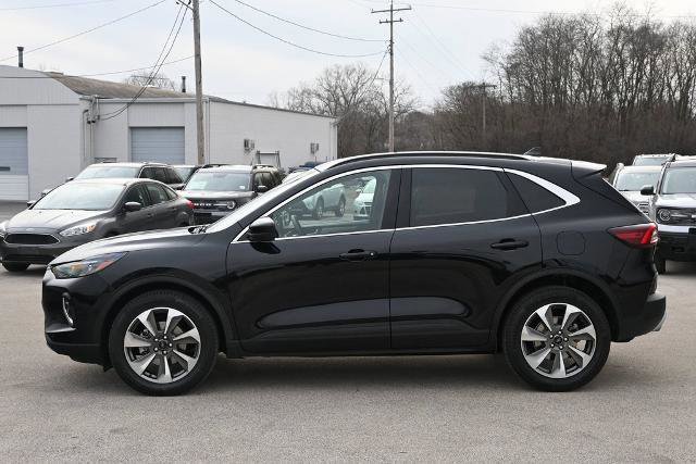 Certified 2023 Ford Escape Platinum image 2