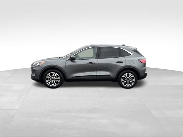 Certified 2022 Ford Escape SEL image 2