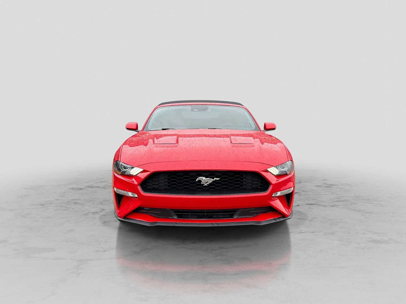 Certified 2019 Ford Mustang Premium w/ Equipment Group 201A RWD image 9