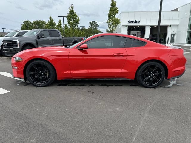 Certified 2019 Ford Mustang Coupe w/ Equipment Group 101A RWD image 2