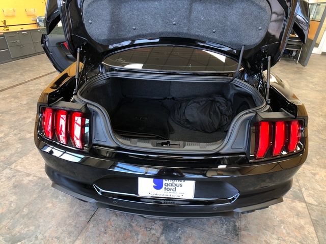 Certified 2022 Ford Mustang GT Premium w/ GT Performance Package RWD image 19