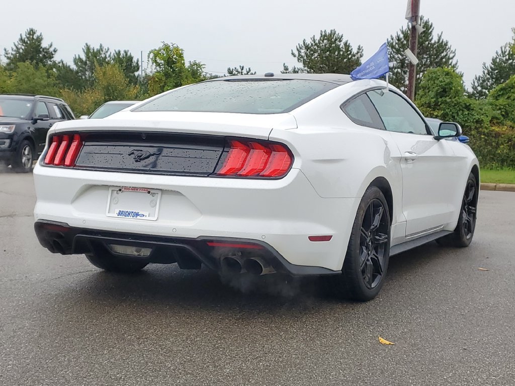 Certified 2020 Ford Mustang Premium w/ Equipment Group 201A RWD image 4