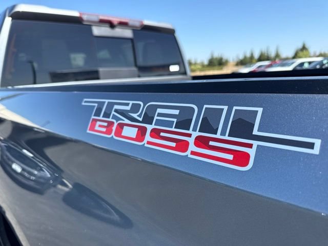 Used 2020 Chevrolet Silverado 1500 LT Trail Boss AWD/4WD image 10