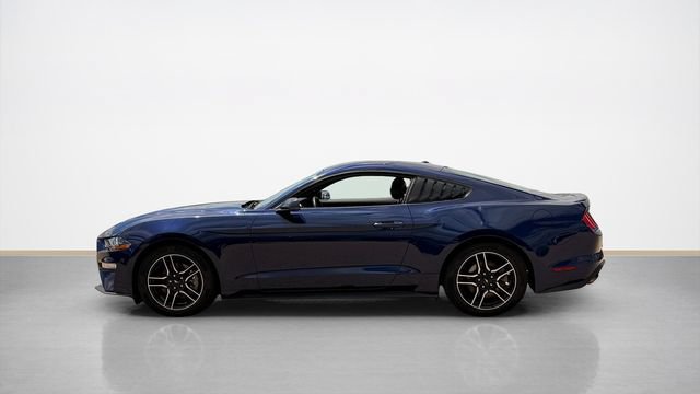 Certified 2019 Ford Mustang Premium w/ Equipment Group 201A RWD image 5